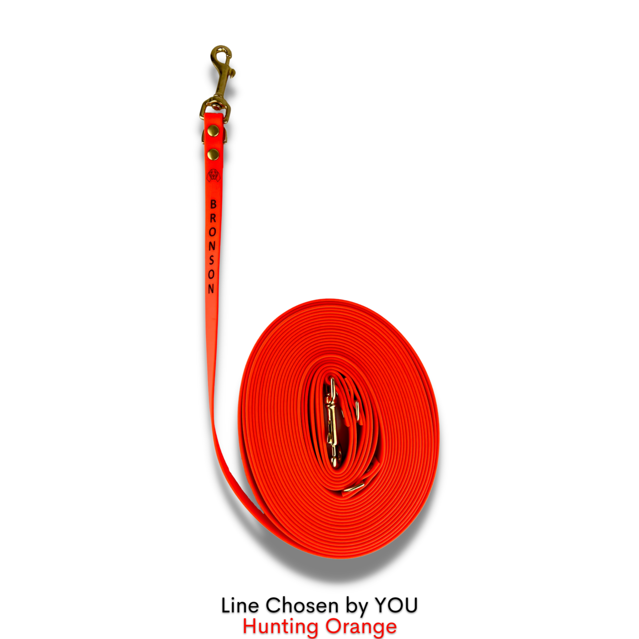 Linka Treningowa z Biothane Chosen by You