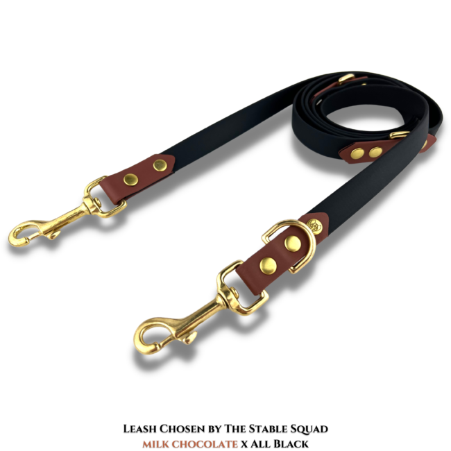 Smycz Przepinana Chosen by The Stable Squad BioThane