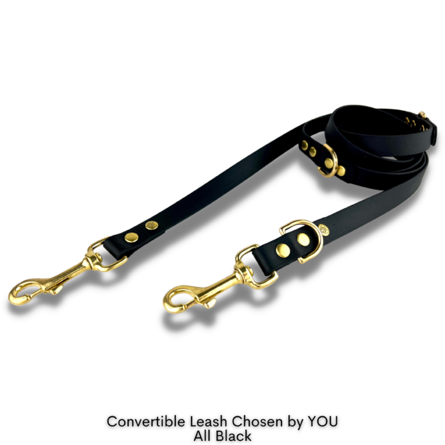 Smycz Przepinana Chosen by YOU BioThane