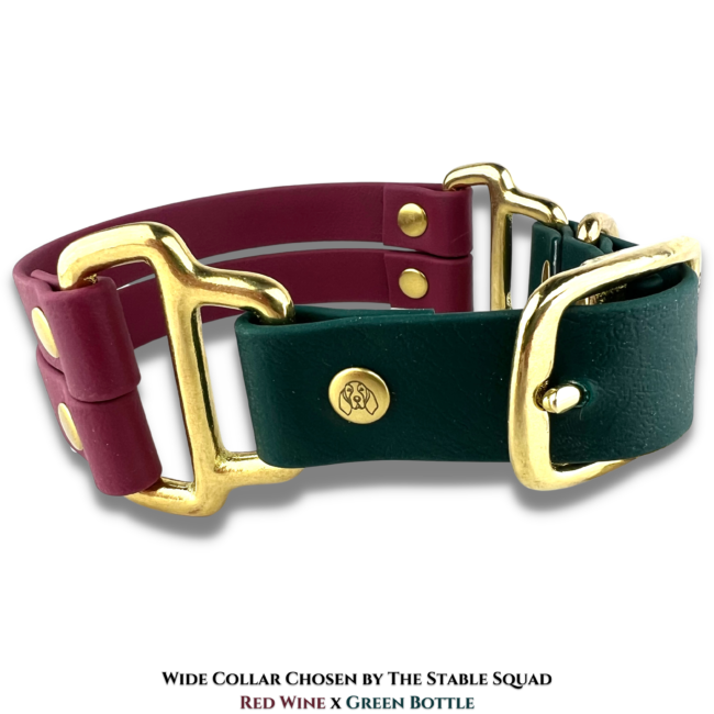 Szeroka Obroża Chosen by The Stable Squad BioThane